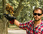 Halcón Peregrino, Cetreria en Uruguay. Control de aves.