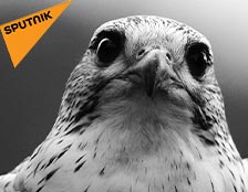 Control de aves. Nota de Sputnik News a Manuel Maier de Intercepta Uruguay.